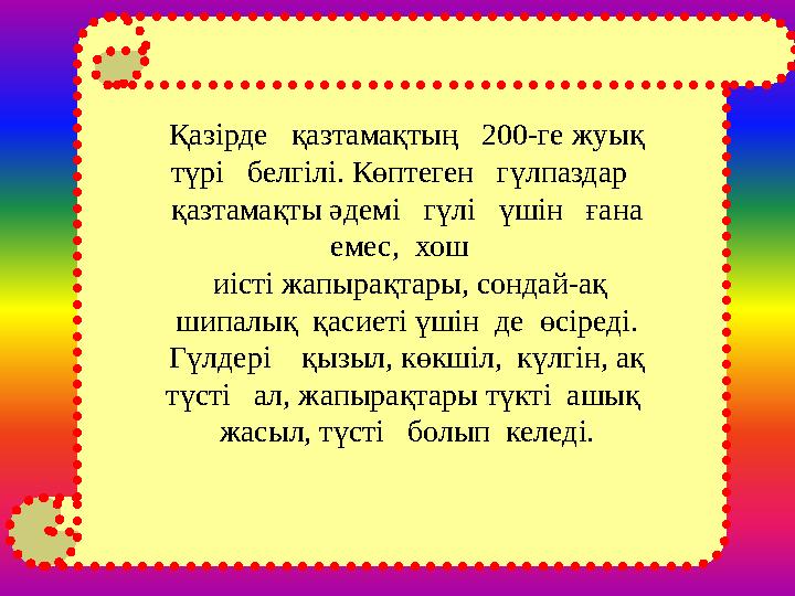 Қазірде қазтамақтың 200-ге жуық түрі белгілі. Көптеген гүлпаздар қазтамақты әдемі гүлі үшін ғана емес,