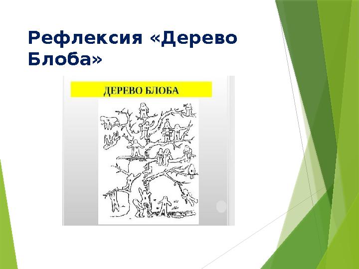Рефлексия «Дерево Блоба»