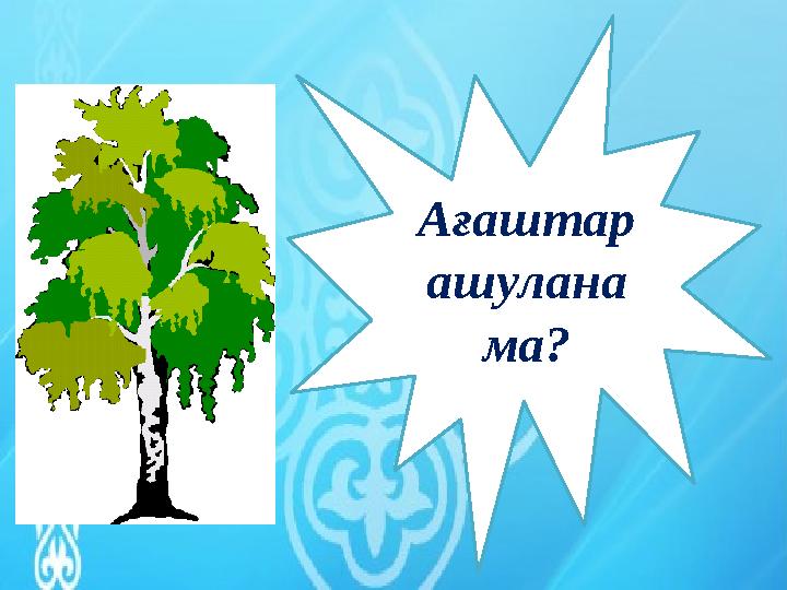 Ағаштар ашулана ма?