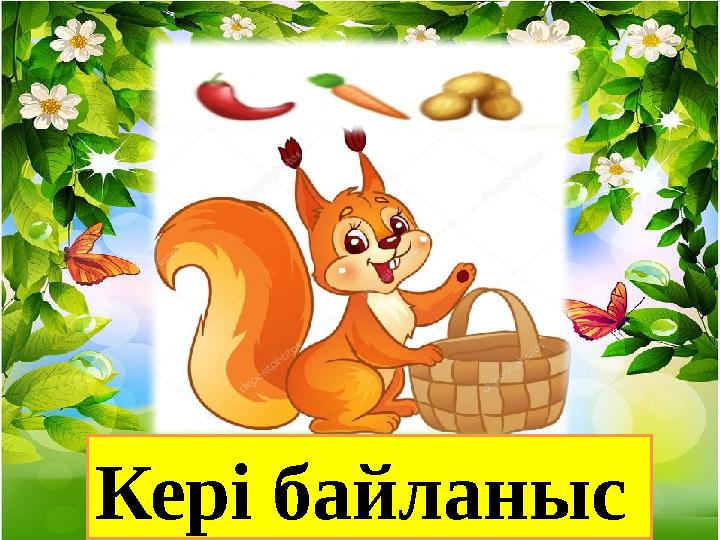 Кері байланыс