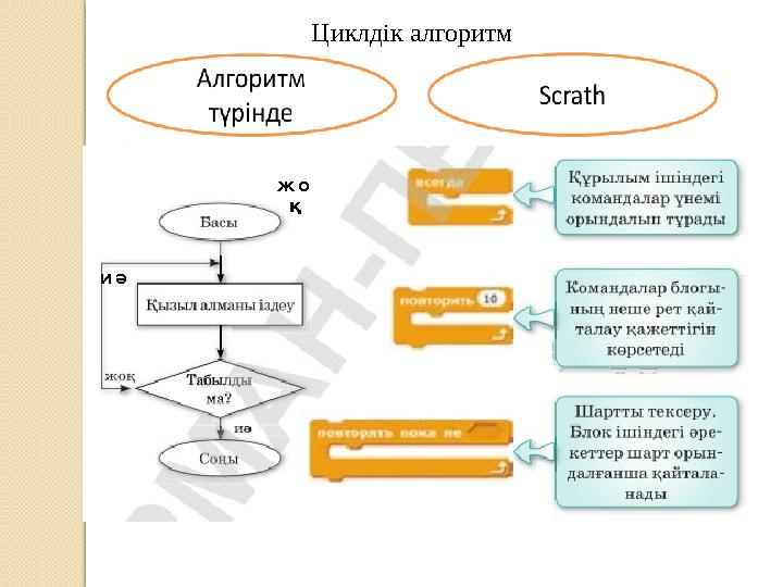 Циклдік алгоритм ж о қ и ә