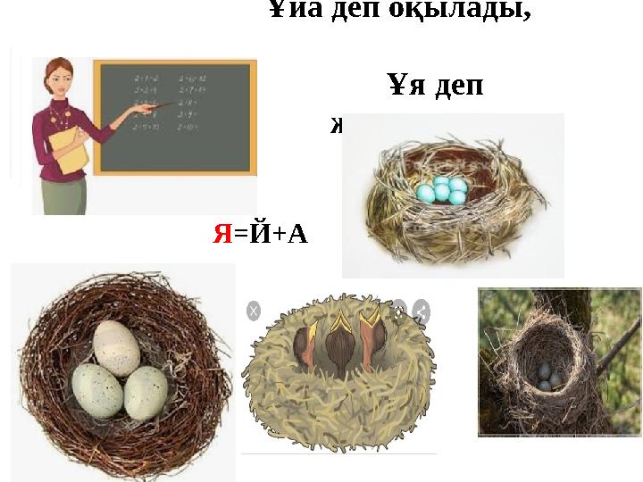 Ұйа деп оқылады, Ұя деп жазылады Я = Й +A