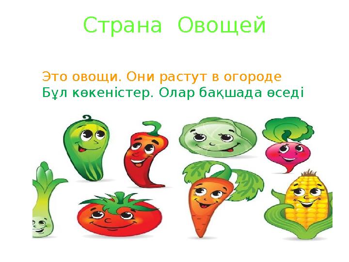 Страна Овощей Это овощи. Они растут в огороде Бұл көкеністер. Олар бақшада өседі