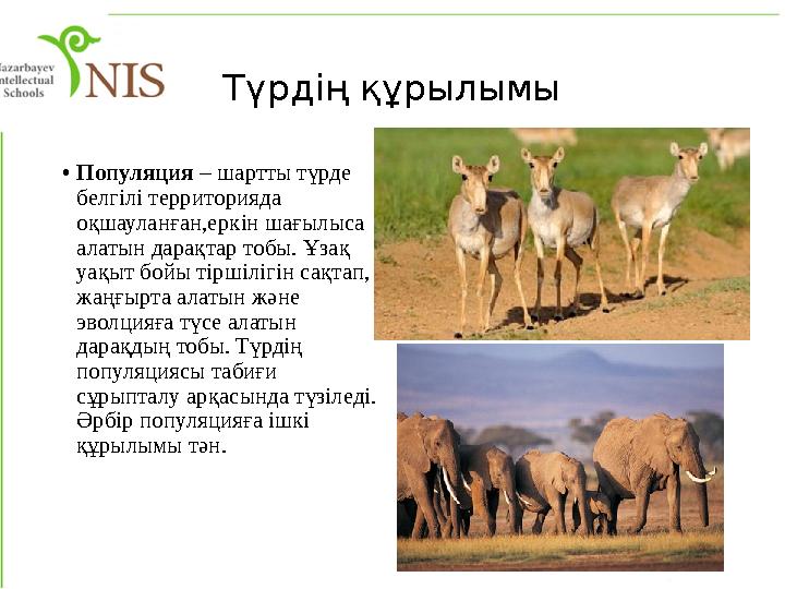 Түрдің құрылымы • Популяция – шартты түрде белгілі территорияда оқшауланған,еркін шағылыса алатын дарақтар тобы. Ұзақ уақыт