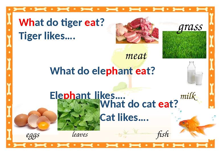 Wh at do tiger ea t? Tiger likes…. What do ele ph ant ea t? Ele ph ant likes…. milk What do cat ea t? Cat li