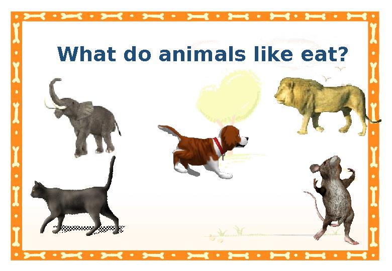 What do animals like eat?