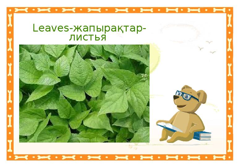 Неправильный ответНеправильный ответLeaves- жапырақтар- листья Правильный ответ