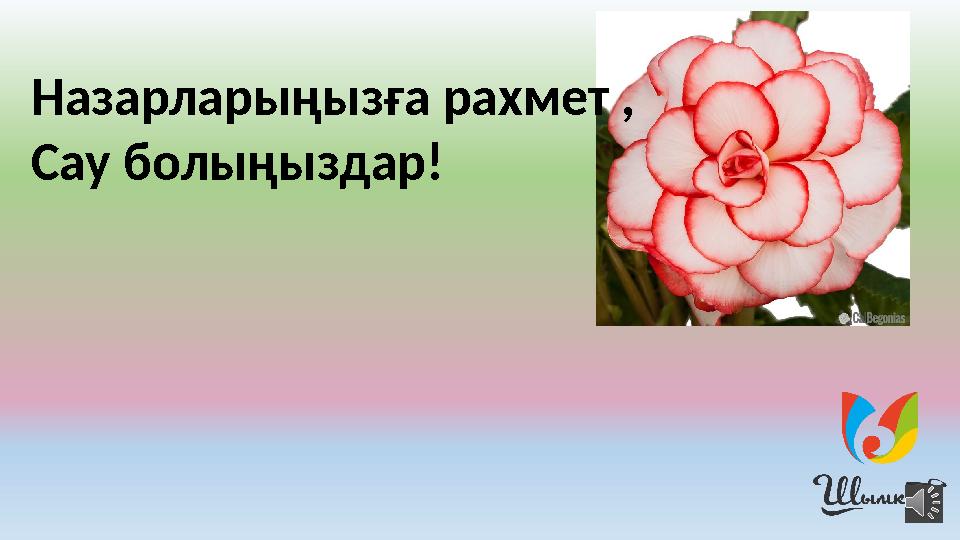 Назарларыңызға рахмет , Сау болыңыздар!