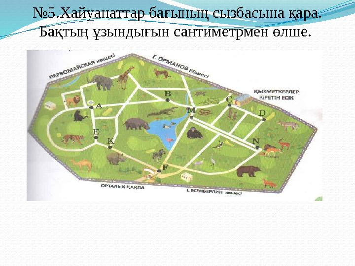 № 5.Хайуанаттар бағының сызбасына қара. Бақтың ұзындығын сантиметрмен өлше.