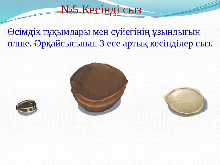 № 5.Кесінді сыз Өсімдік тұқымдары мен сүйегінің ұзындығын өлше. Әрқайсысынан 3 есе артық кесінділер сыз.