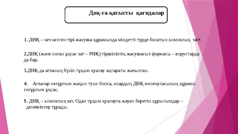 Егізд Днқ-ға қатысты қағидалар ДНДпгршрош 1. ДНҚ – кез келген тірі жасуша құрамында міндетті түрде болатын химиялық з а