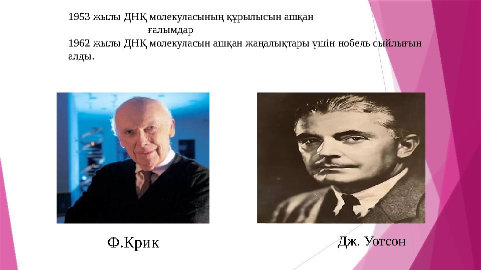 1953 жылы ДНҚ молекуласының құрылысын ашқан ғалымдар 1962 жылы ДНҚ молекуласын ашқан жаңалықтар