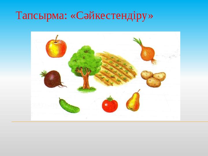 Тапсырма: «Сәйкестендіру»