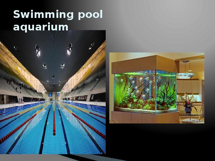 Swimming pool aquarium