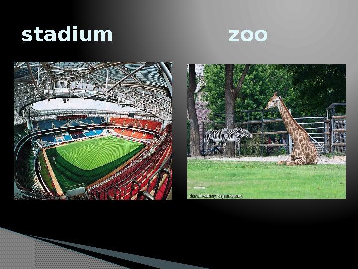 stadium zoo