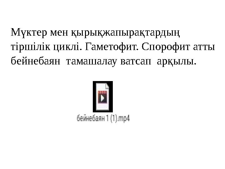 Мүктер мен қырықжапырақтардың тіршілік циклі. Гаметофит. Спорофит атты б ейнебаян тамашалау ватсап арқылы.