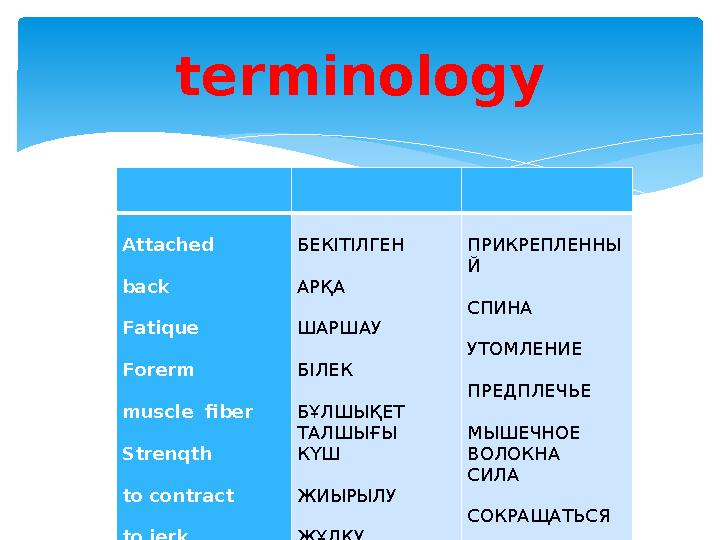 Attached back F atique F ore rm muscle fiber S trenqth to contract to jerk to pull to push to straiqhten to tremor БЕКІТІЛГЕН