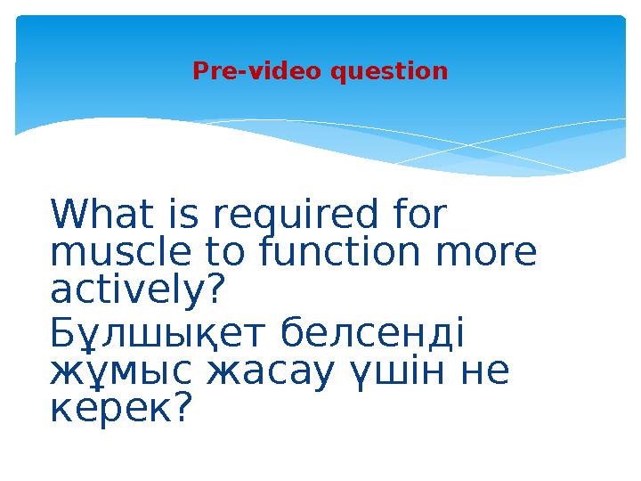 What is required for muscle to function more actively? Бұлшықет белсенді жұмыс жасау үшін не керек? Pre-video question