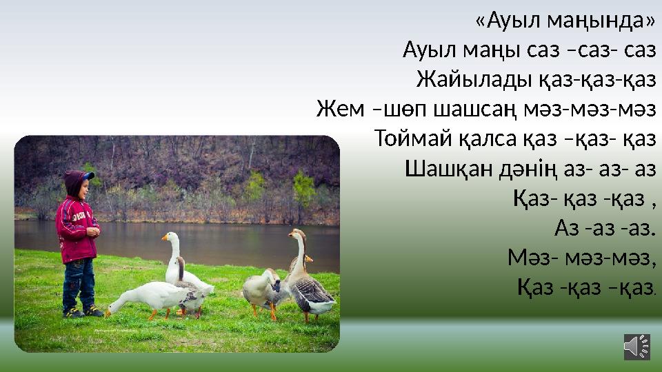 «Ауыл маңында» Ауыл маңы саз –саз- саз Жайылады қаз-қаз-қаз Жем –шөп шашсаң мәз-мәз-мәз Тоймай қалса қаз –қаз- қаз Шашқан дәнің