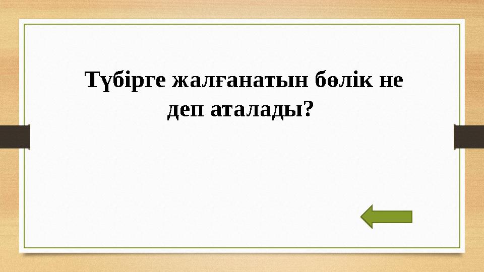 Түбірге жалғанатын бөлік не деп аталады?