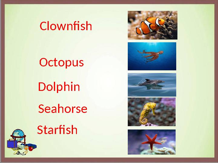 Clownfish