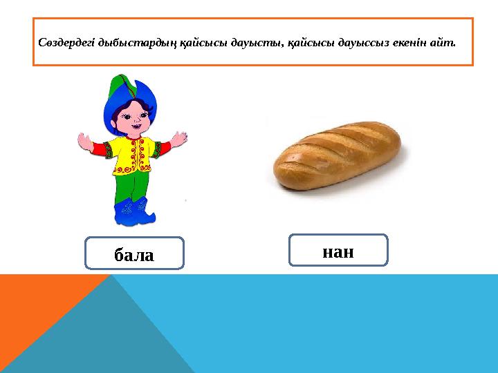 Сөздердегі дыбыстардың қайсысы дауысты, қайсысы дауыссыз екенін айт. бала нан