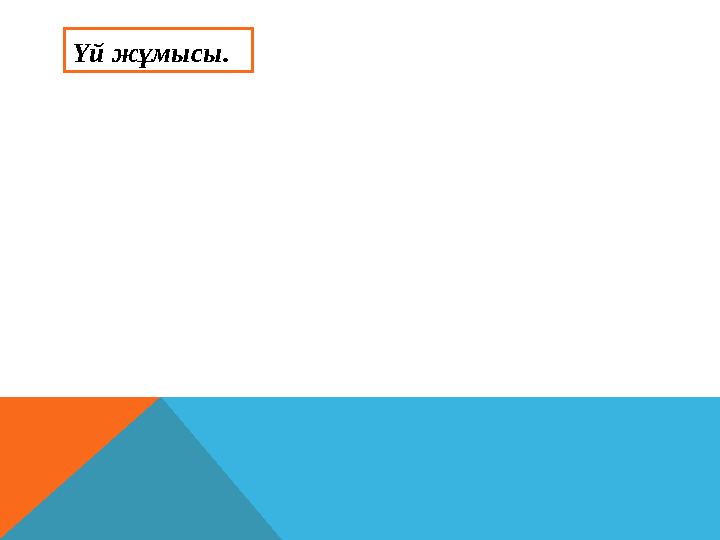 Үй жұмысы.