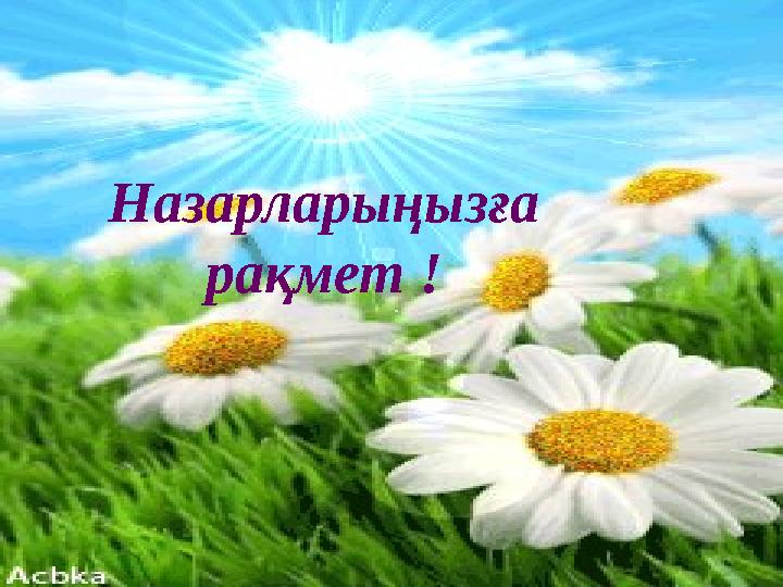 Назарларыңызға рақмет !