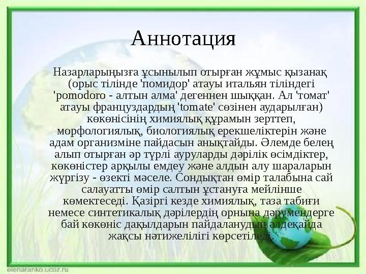 Аннотация Назарларыңызға ұсынылып отырған жұмыс қызанақ (орыс тілінде 'помидор' атауы итальян тіліндегі 'pomodoro - алтын алм