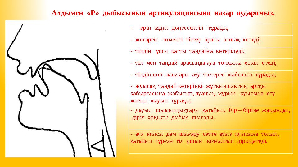 Алдымен «Р» дыбысының артикуляциясына назар аударамыз. - ерін аздап дөңгелентіп тұрады; - жоғарғы төменгі тістер
