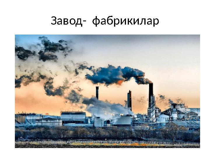Завод- фабрикилар