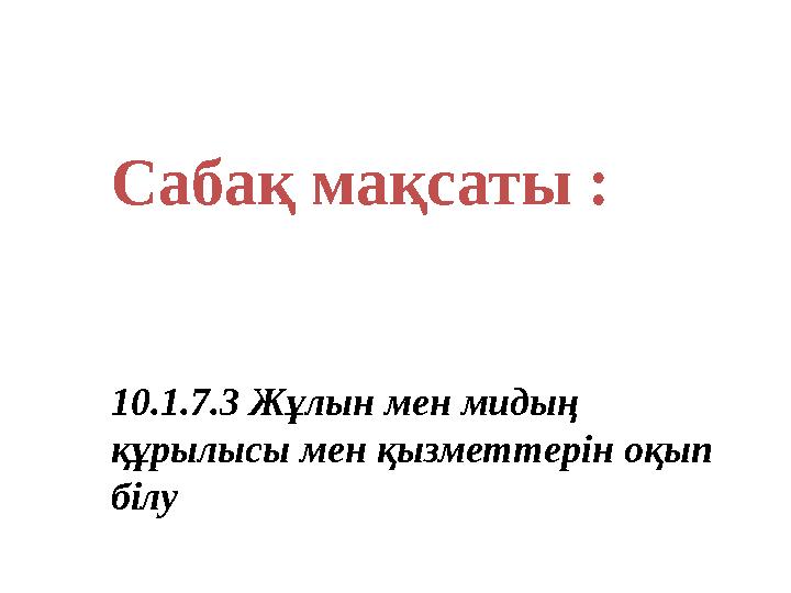 Сабақ мақсаты : 10.1.7.3 Жұлын мен миды