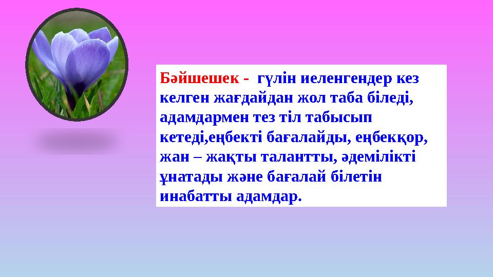 Бәйшешек - гүлін иеленгендер кез келген жағдайдан жол таба біледі, адамдармен тез тіл табысып кетеді,еңбекті бағалайды, ең