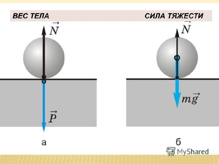 Сила тяжести, вес тела, невесомость.