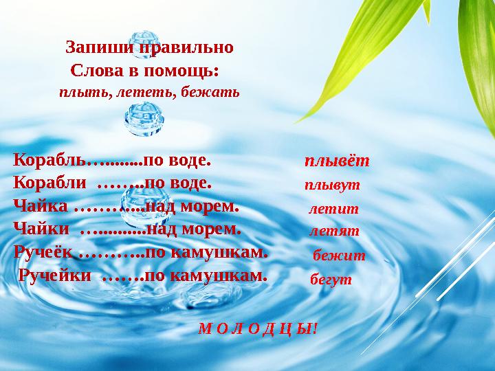 Запиши правильно Слова в помощь: плыть , лететь , бежать Корабль…........по воде. Корабли ……..по воде. Чайка ………...над мор