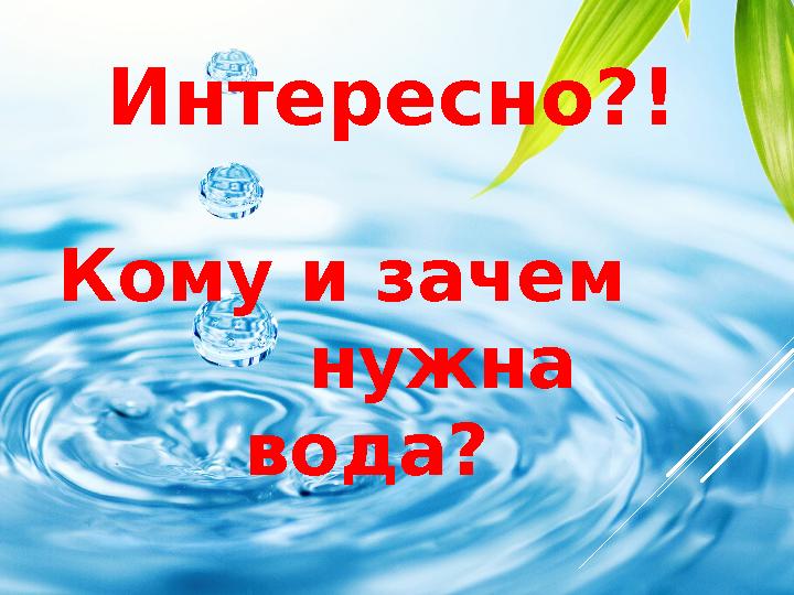 Интересно?! Кому и зачем нужна вода?