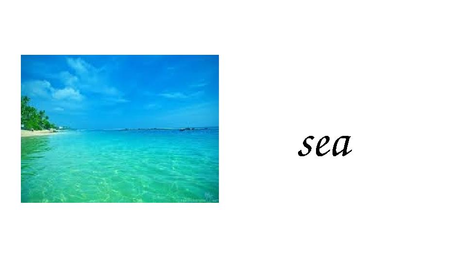 sea