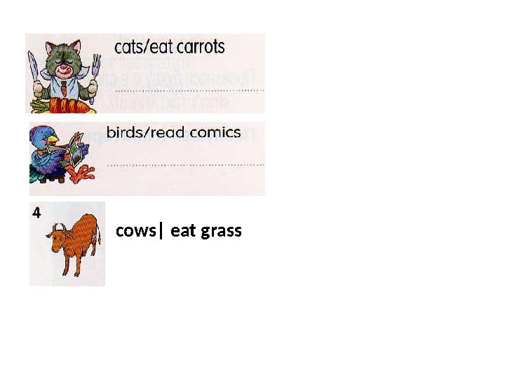 cows| eat grass