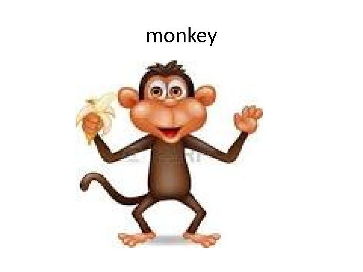 monkey