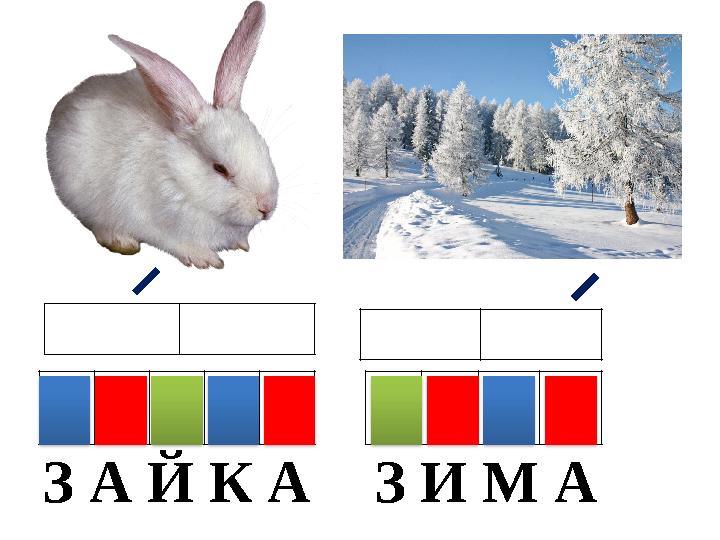 З А Й К А З И М А