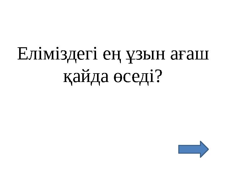 Еліміздегі ең ұзын ағаш қайда өседі?