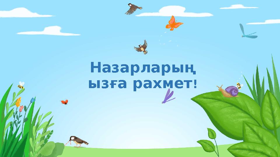 Назарларың ызға рахмет !