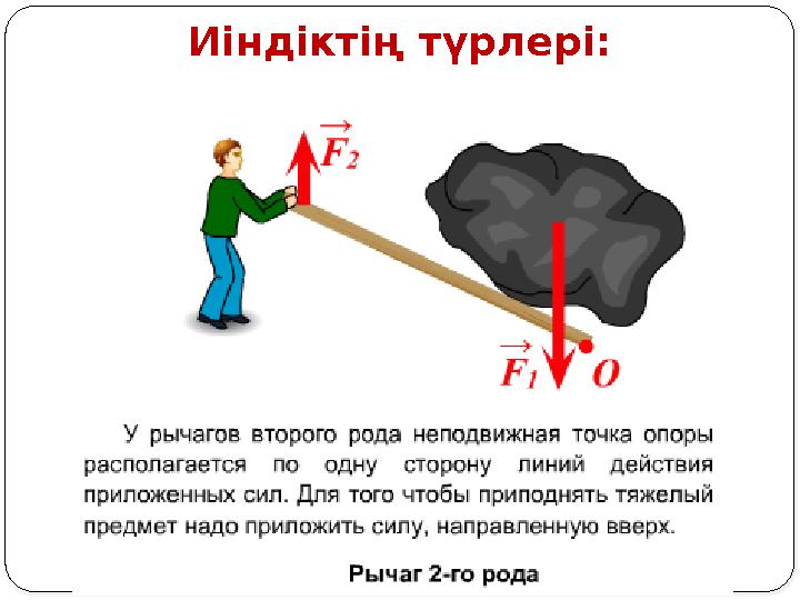 Иіндіктің түрлері: