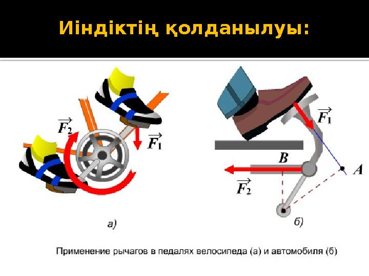 Иіндіктің қолданылуы: