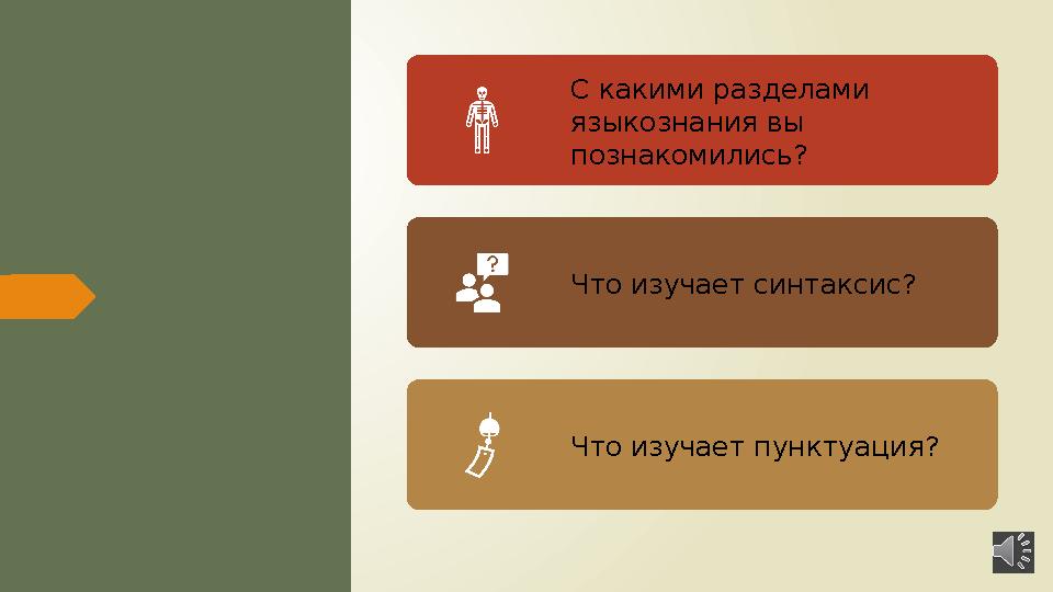 С какими разделами языкознания вы познакомились? Что изучает синтаксис? Что изучает пунктуация?