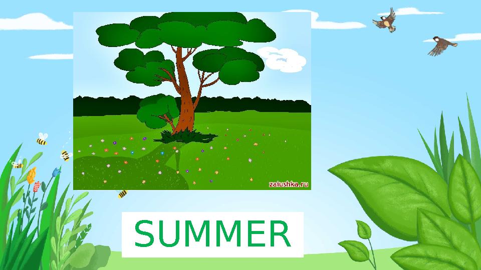 Введите сюда текст вопроса SUMMER
