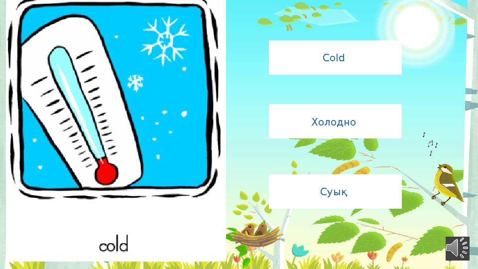 Cold Холодно Суық