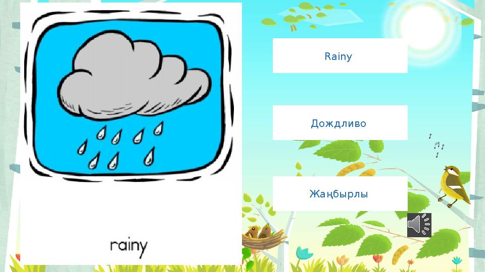 Rainy Дождливо Жаңбырлы