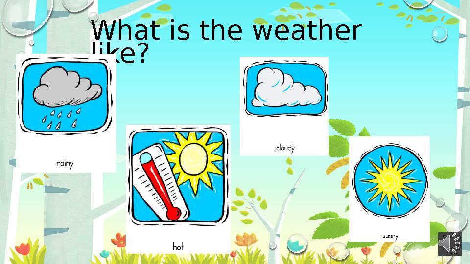 What is the weather like?