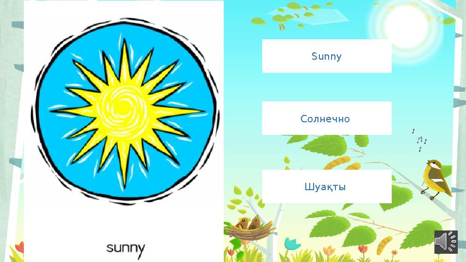 Sunny Солнечно Шуақты